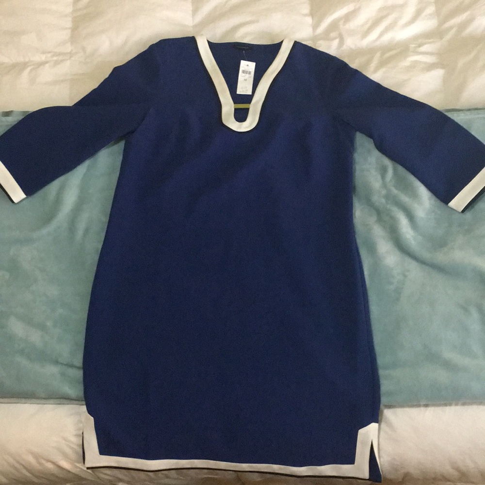 ann taylor dress